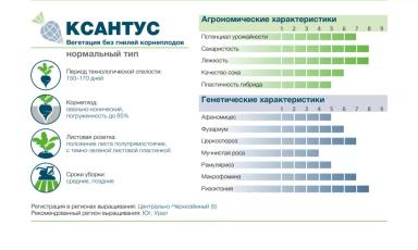 КСАНТУС