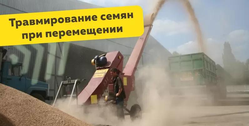 Механические повреждения семян