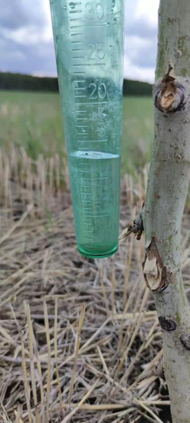 Снегозадержание и урожайность (результаты эксперимента)