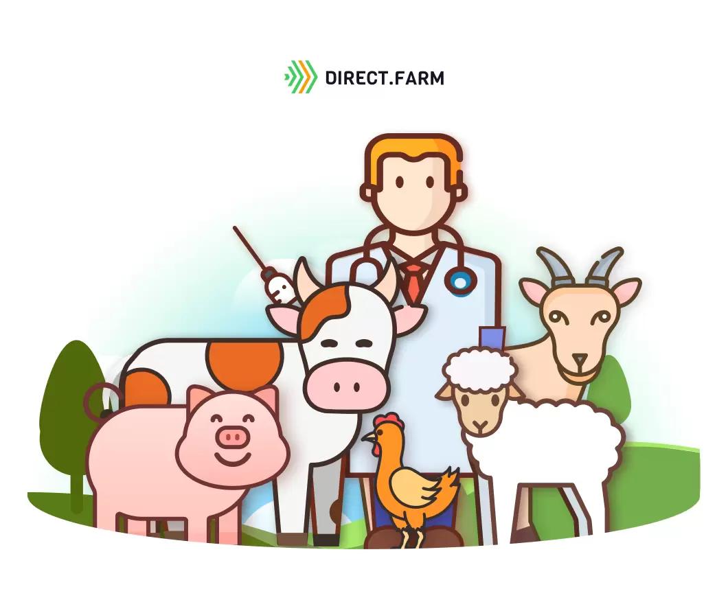 Подборка материалов по ИО КРС, МРС, свиней и птицы