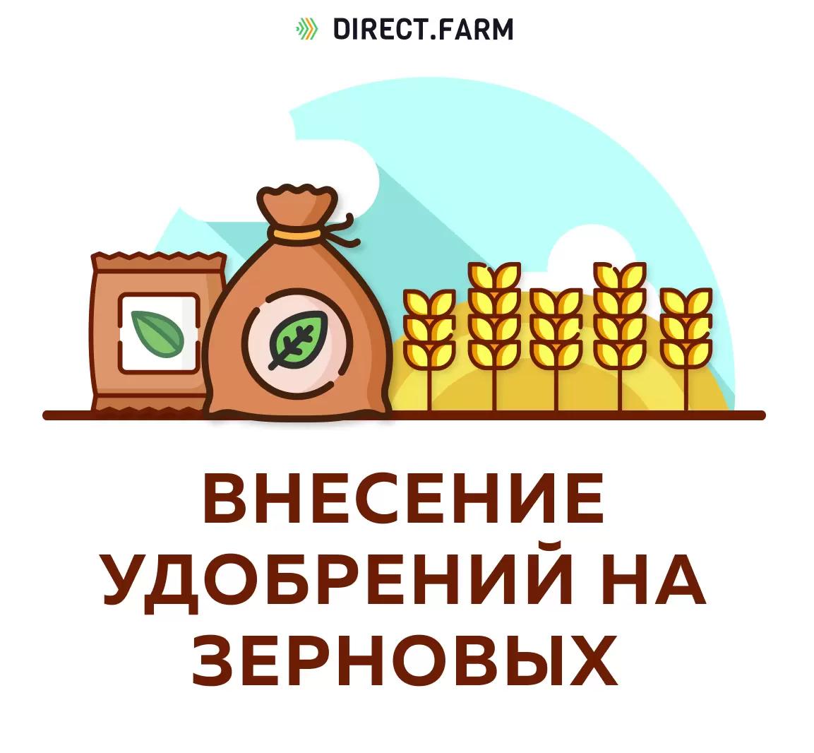 Пострадают посевы или нет?