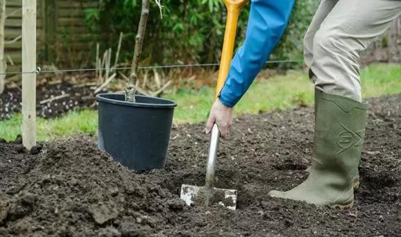 Начинаем осенние подкормки с AgroXXI