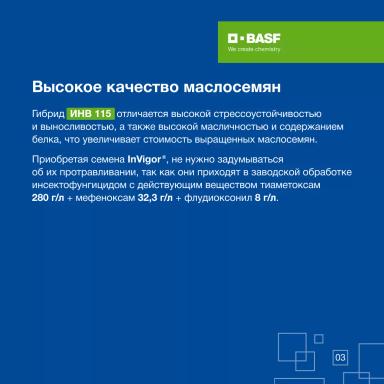 ИНВ 115: результат 20 лет селекционной работы