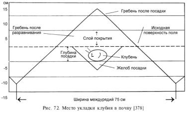 Посадка картофеля