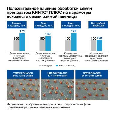 🌾 Озимые готовы к перезимовке!