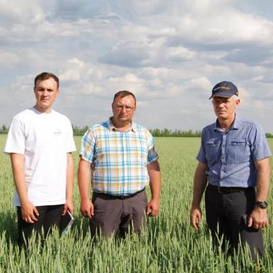 Партнеры об «Августе»