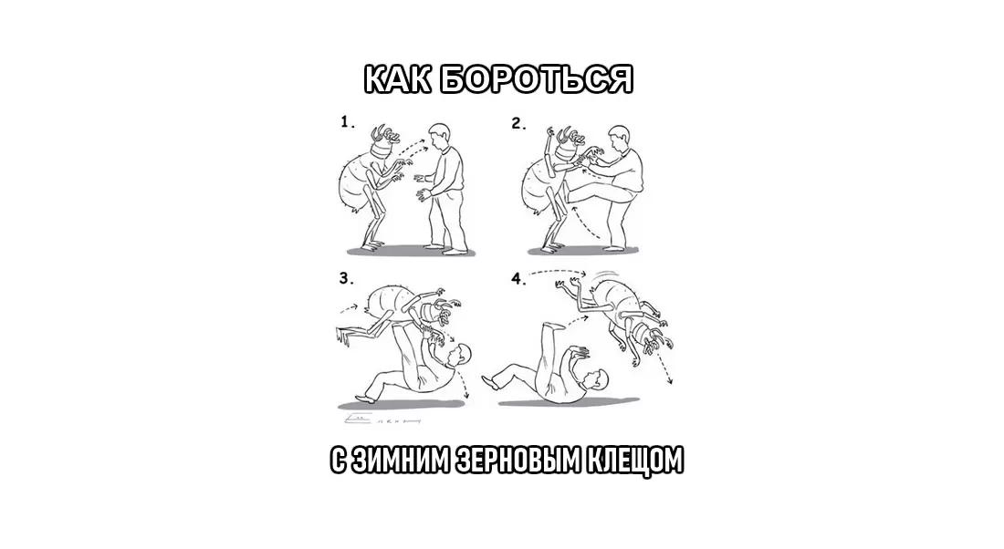 Меры борьбы с красноногими