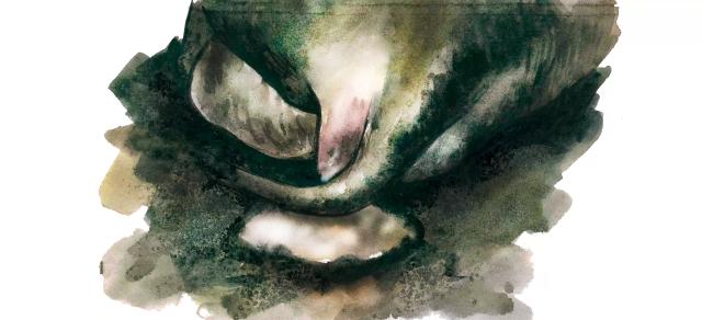 Пиометра у коров