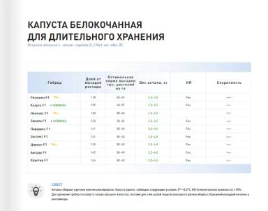 Циркон F1 (SIRCON)