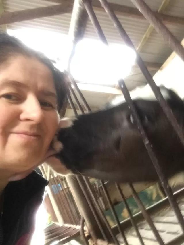 Отказ от антибиотиков? Да, возможно!