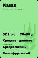 Казак сорт ячменя ярового