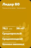 Лидер 80 сорт мягкой яровой пшеницы