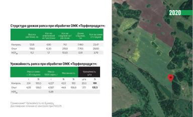 Влияние ОМК "Торфопродукт" на урожайность и качество рапса. 