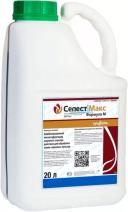 Селест Макс, КС