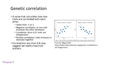 Генотип и окружающая среда: включение факторов среды в племенные оценки животных