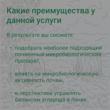 🧬 Как подобрать микробиологический препарат для ваших полей? 