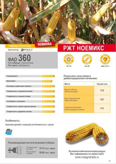 РЖТ Ноемикс гибрид кукурузы