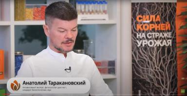 Фитоэкспертиза семян и фитоэкспертиза почвы