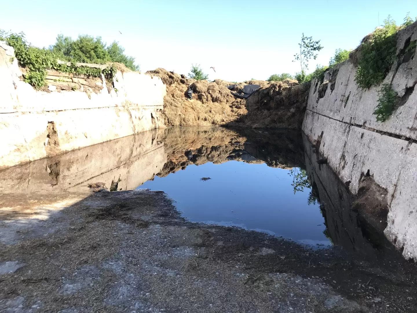 Корма в России больше, чем беда