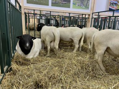 Золотая Осень 2021