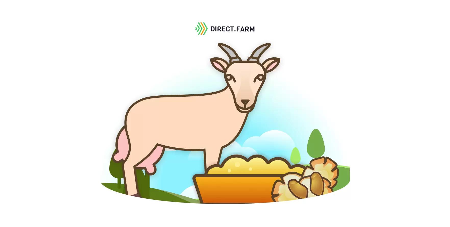 Микронизированное зерно в кормлении жвачных