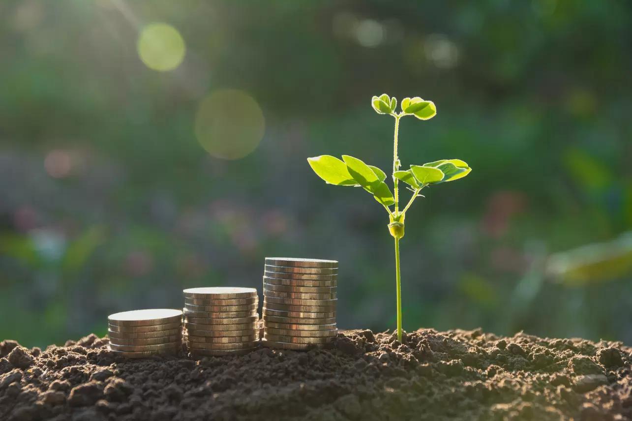 В России страховые выплаты по сельхозрискам на 1 декабря превысили 2,5 млрд руб.