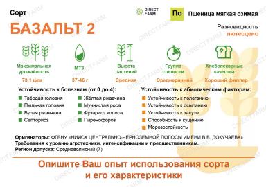 Базальт 2 сорт мягкой озимой пшеницы