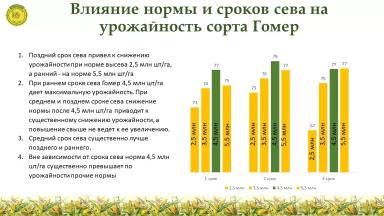 Влияние норм высева и сроков сева на урожайность озимой пшеницы в ЦЧР 2021г