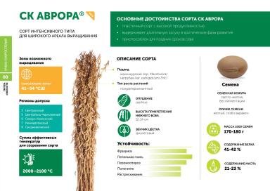 ДАЕШЬ ЭЛИТУ!