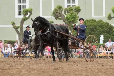 Кладрубская порода 