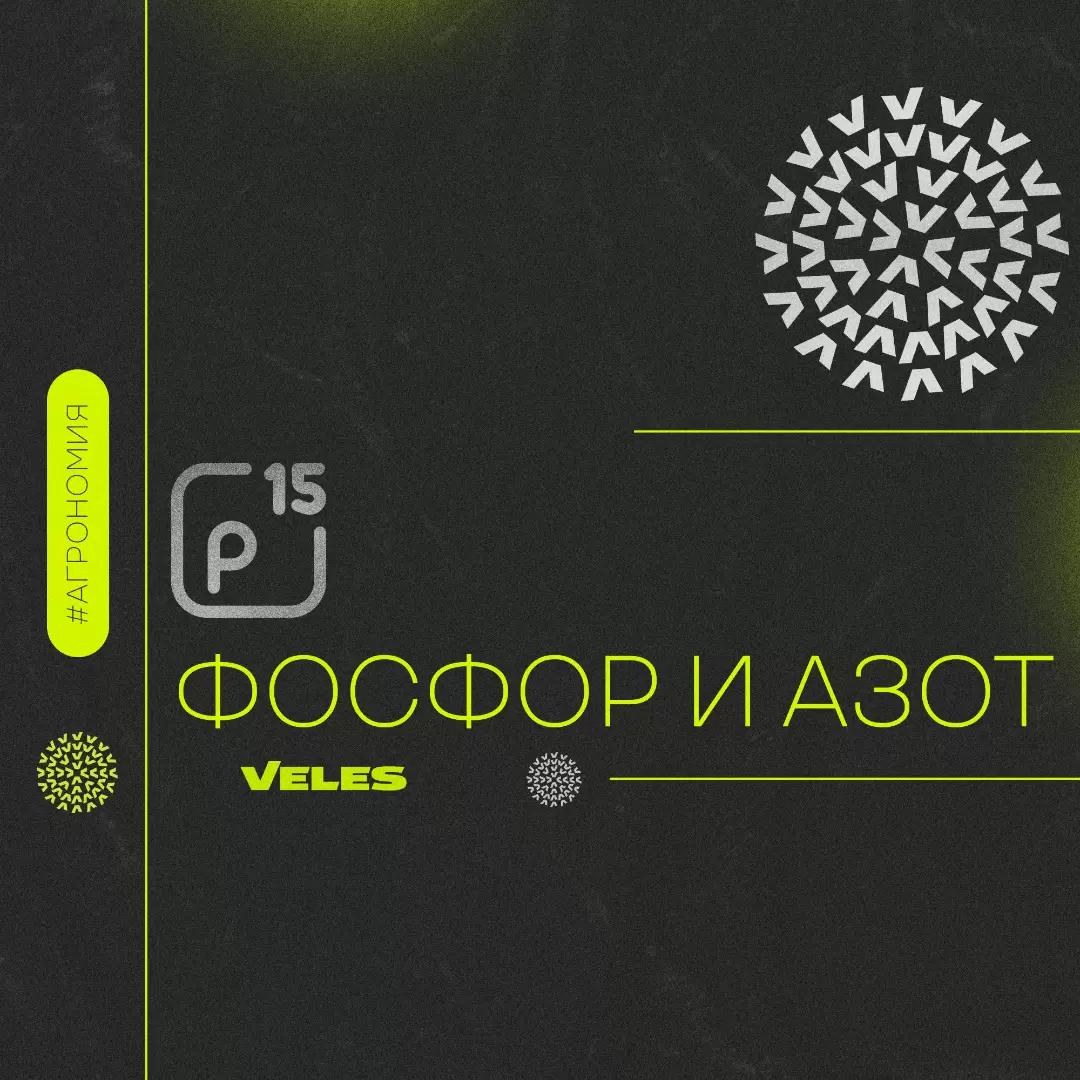 ФОСФОР И ЕГО РОЛЬ В РАЗВИТИИ РАСТЕНИЙ