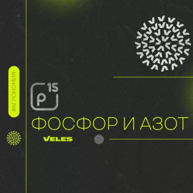 ФОСФОР И ЕГО РОЛЬ В РАЗВИТИИ РАСТЕНИЙ