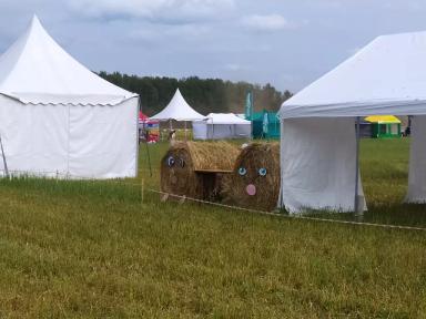 ДЕНЬ ПОЛЯ В НИЖЕГОРОДСКОЙ ОБЛАСТИ