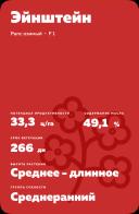 Эйнштейн (EINSTEIN) рапс озимый