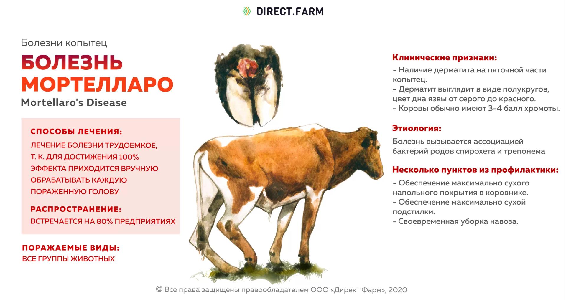 Болезнь Мортелларо