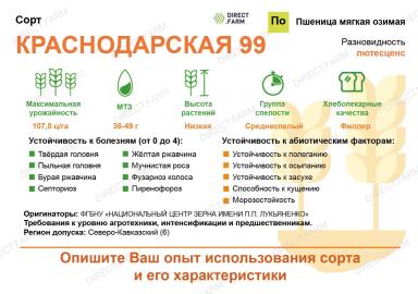 Краснодарская 99