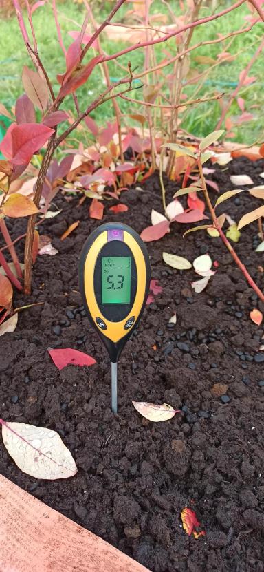 Кислотность почвы.