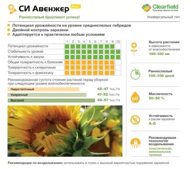 СИ Авенжер (SY AVENGER) гибрид подсолнечника