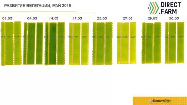 NDVI на эксперименте Дискование, Вспашка, Ноу Тилл (2019)