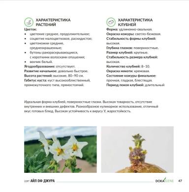 Айл Оф Джура