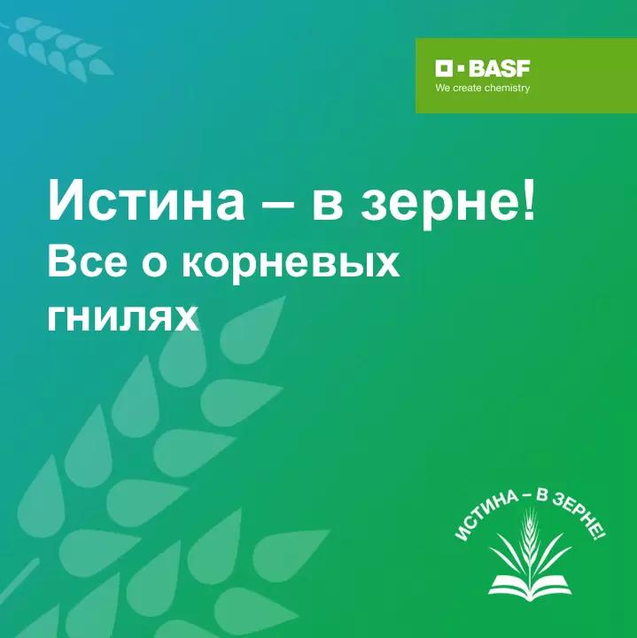 ИСТИНА – В ЗЕРНЕ!
