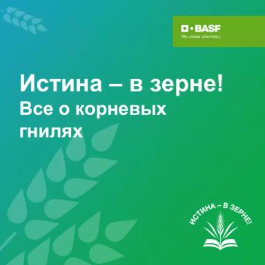 ИСТИНА – В ЗЕРНЕ!