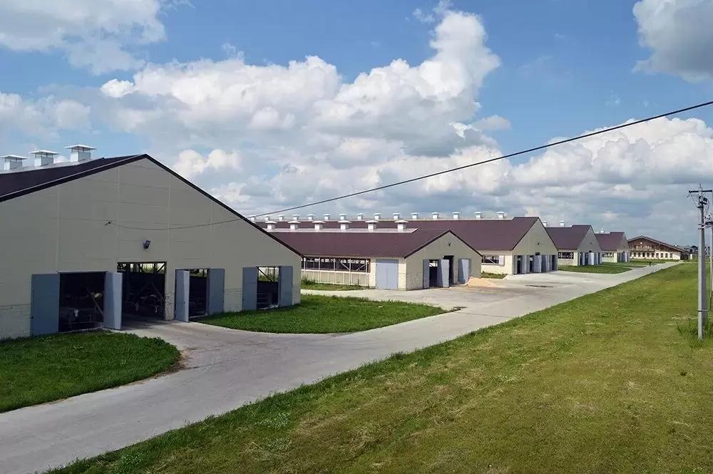 Почему многие коровники строят с ошибками