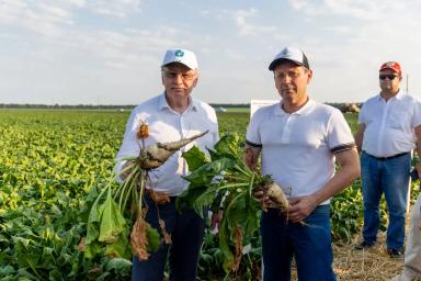 «День поля масличных культур и сахарной свеклы. ВНИИМК 2023»