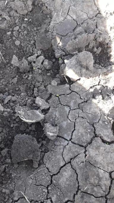 Агромониторинг