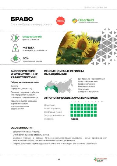 Браво гибрид подсолнечника