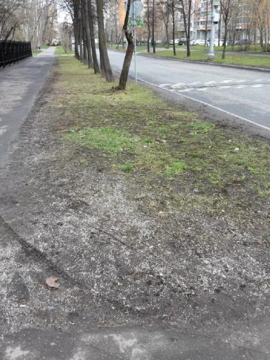 Ремедиация почвы после ПГС (противогололёдных смесей)