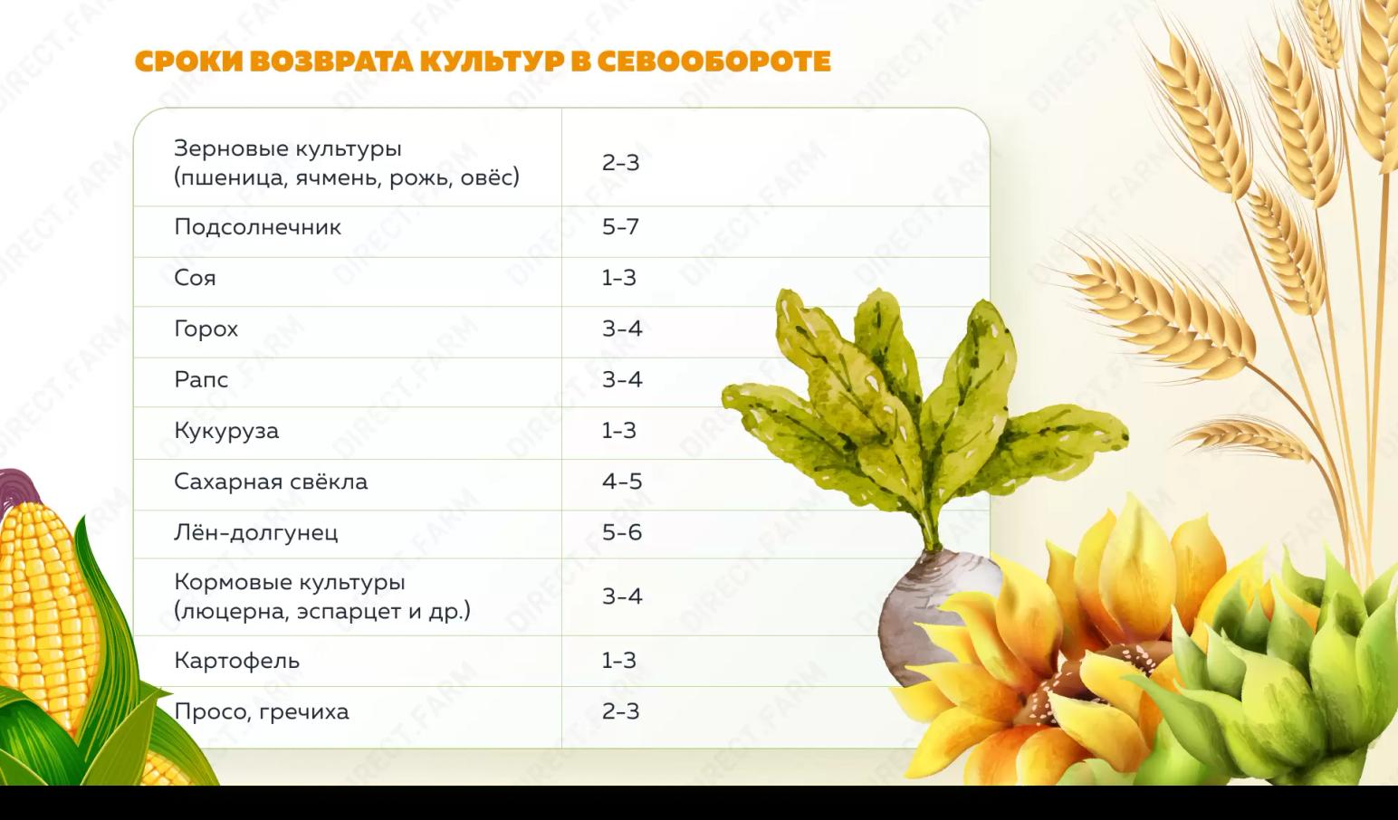 Сроки возврата культур в севообороте