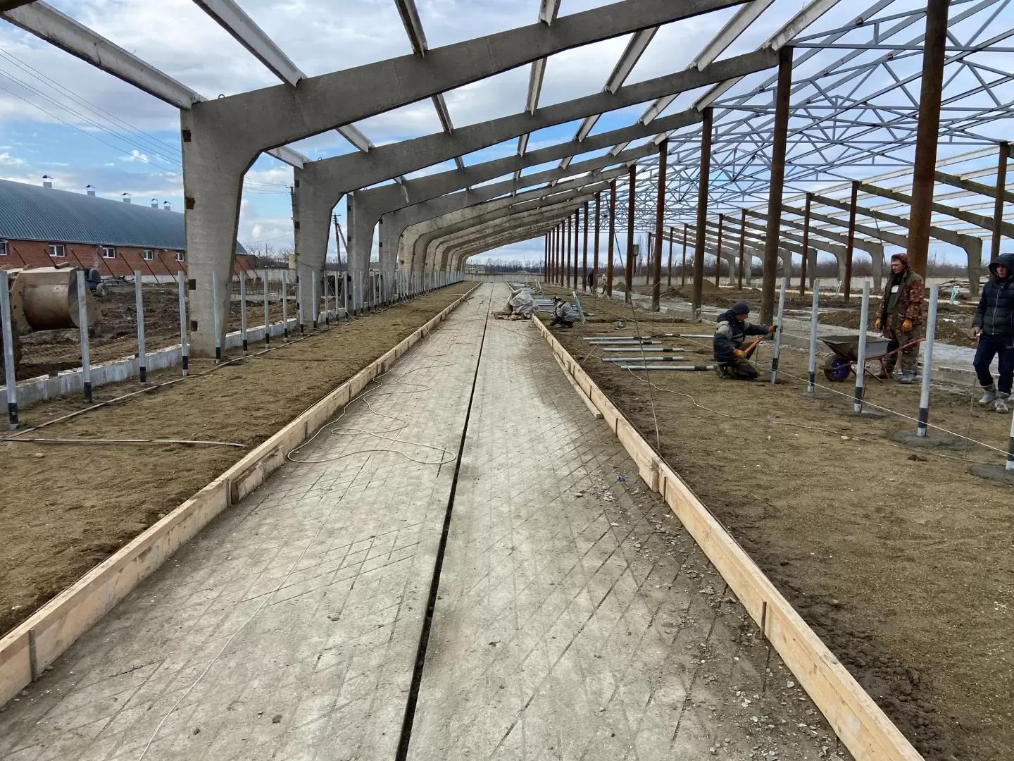 Сроки строительства ферм КРС: где теряют время и какой тайминг реальный