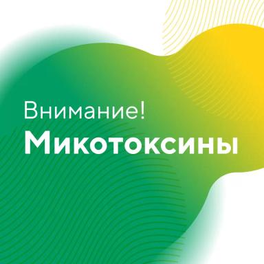 Внимание, микотоксины!